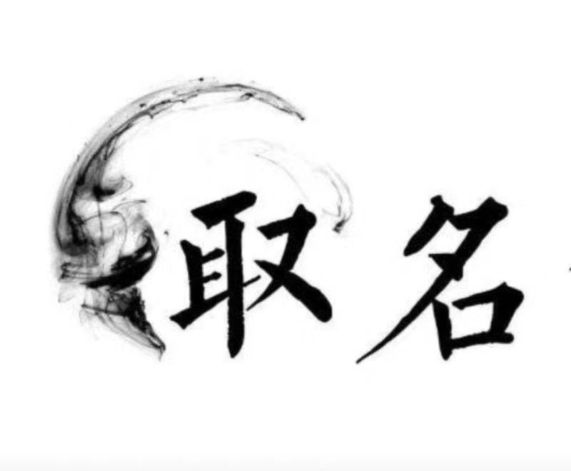  武进宝宝取名 大师一对一人工起名